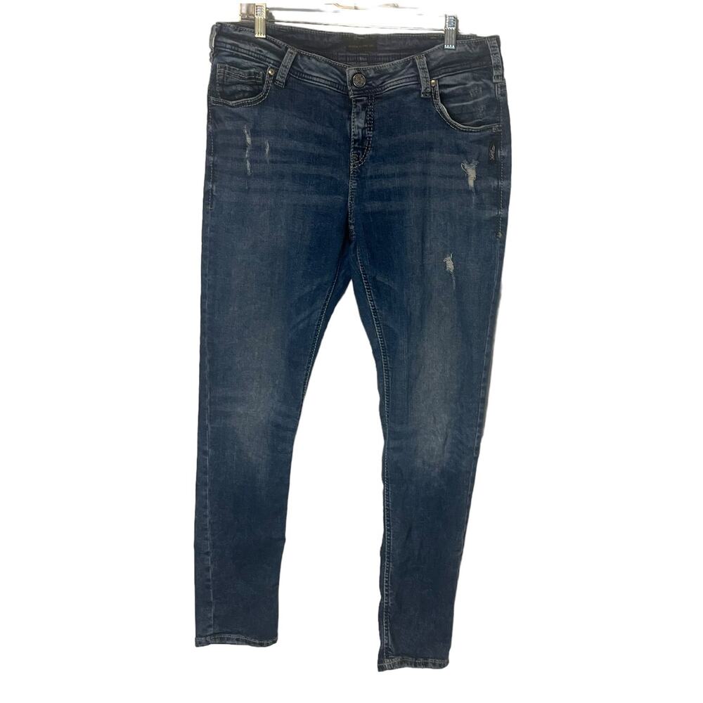 Silver Jeans Co. Women's Plus Size W 36‎ Girlfriend Skinny Jeans